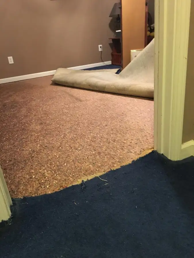 Carpet pad removal revealing water damage during Drying & Dehumidification in Forestdale