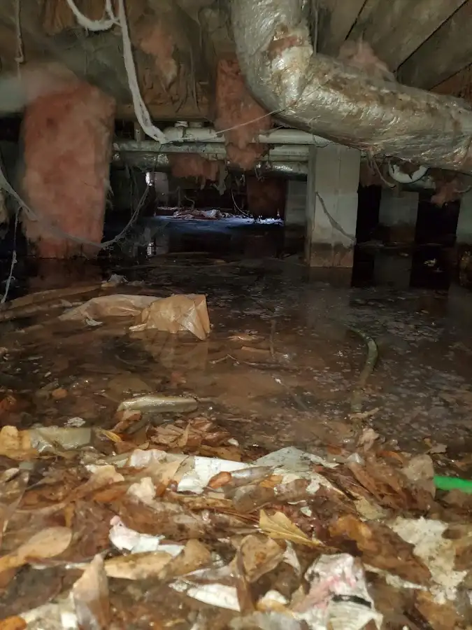 Crawl space flood assessment for Commercial Water Damage Restoration in Forestdale