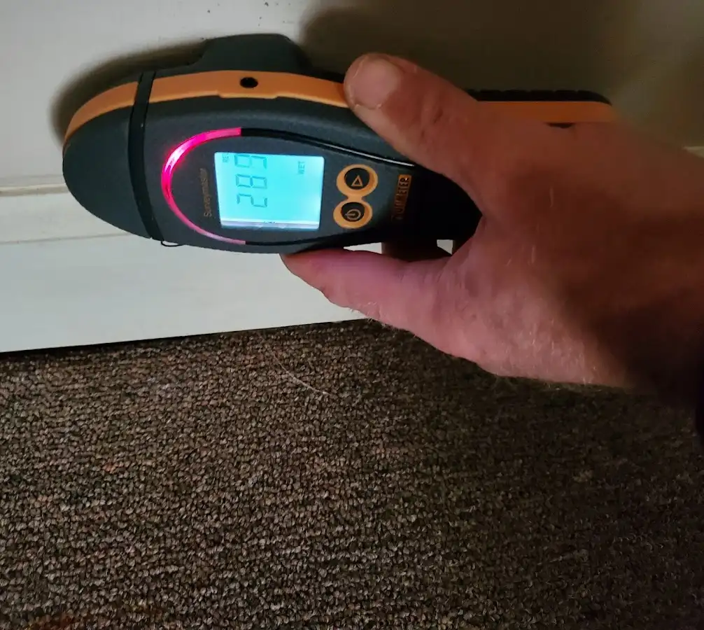 Moisture detection at baseboard during Sewage Cleanup & Sanitation in Forestdale